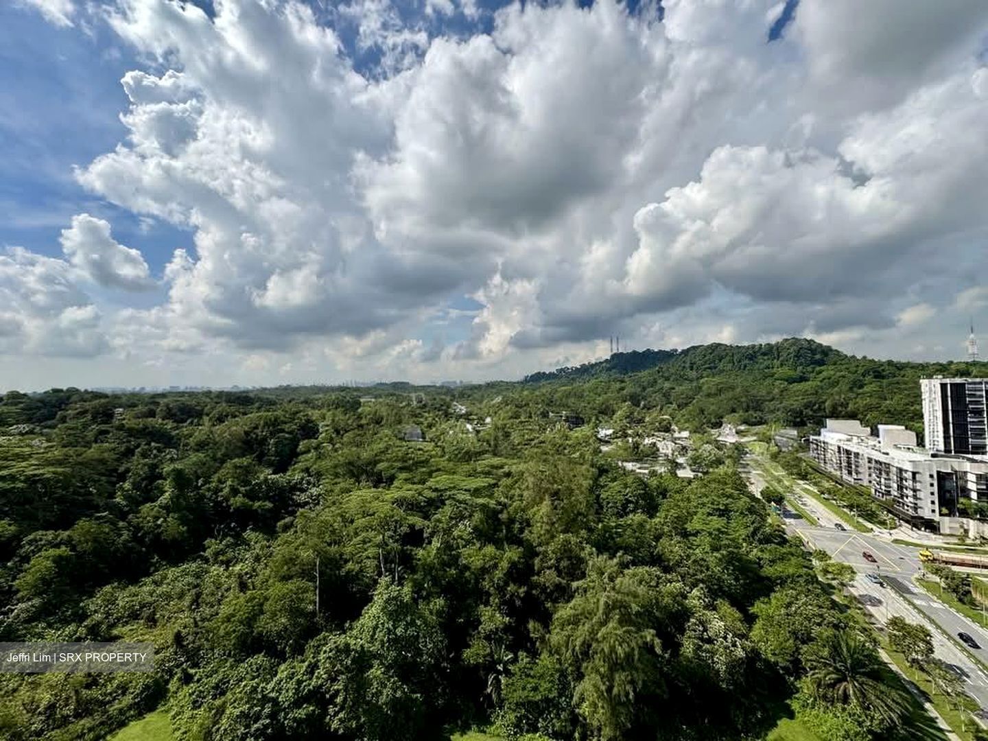 Foresque Residences (D23), Condominium #557948361